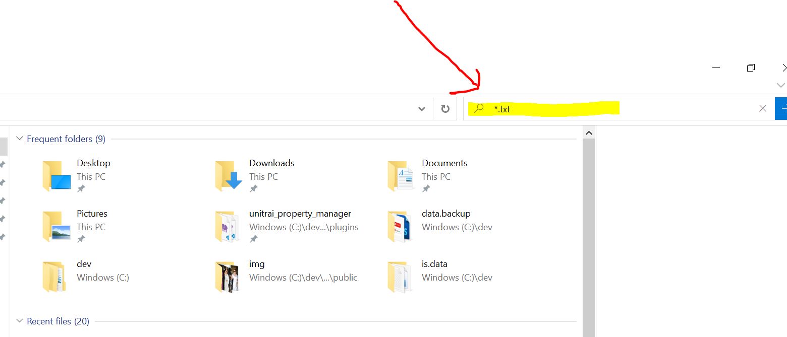 Search files by extension *.txt on Windows 
